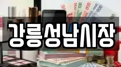 강릉성남시장