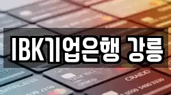 IBK기업은행 강릉