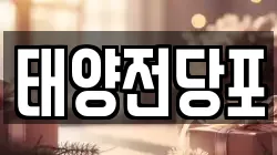 태양전당포