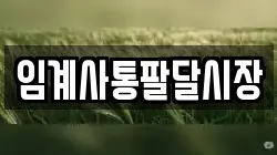 강원특별자치도 강릉시 왕산면 전당포, 상품권판매, 상품권매매, 환전