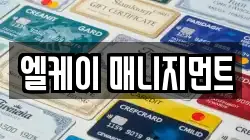 엘케이 매니지먼트