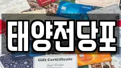 태양전당포
