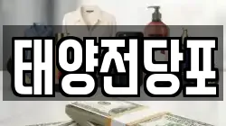 태양전당포