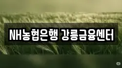 NH농협은행 강릉금융센터