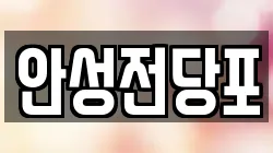 안성전당포