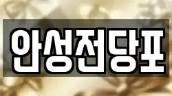 안성전당포