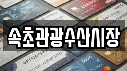 속초관광수산시장