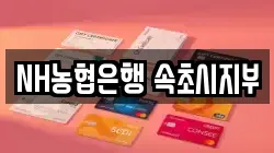 NH농협은행 속초시지부