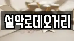 설악로데오거리