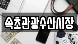 속초관광수산시장