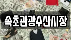속초관광수산시장