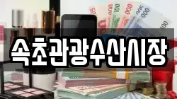 속초관광수산시장
