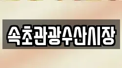 속초관광수산시장