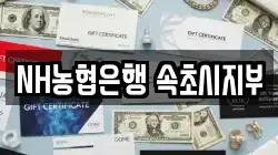 NH농협은행 속초시지부