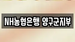 NH농협은행 양구군지부