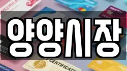 강원특별자치도 양양군 손양면 전당포, 상품권판매, 상품권매매, 환전