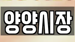 강원특별자치도 양양군 전당포, 상품권판매, 상품권매매, 환전