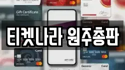 티켓나라 원주총판