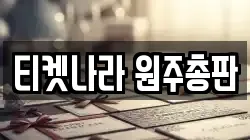티켓나라 원주총판