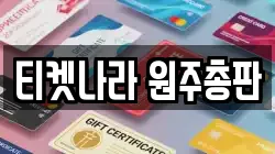 티켓나라 원주총판