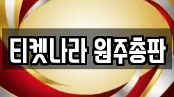 티켓나라 원주총판