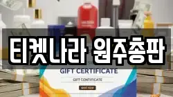 티켓나라 원주총판