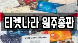 티켓나라 원주총판