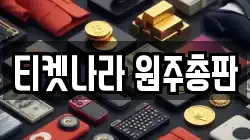 티켓나라 원주총판