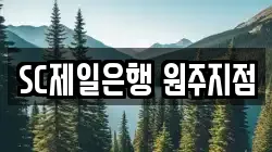 SC제일은행 원주지점