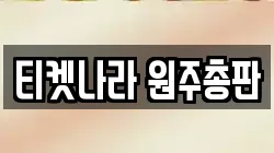 티켓나라 원주총판