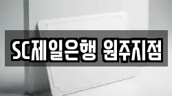 SC제일은행 원주지점