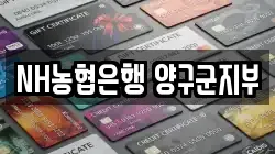 NH농협은행 양구군지부