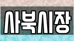 사북시장