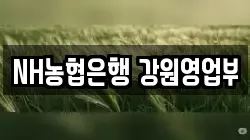 NH농협은행 강원영업부