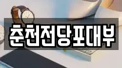 춘천전당포대부
