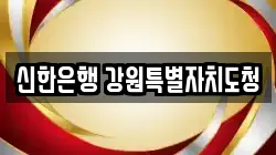 신한은행 강원특별자치도청