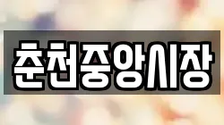 춘천중앙시장