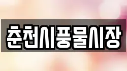 춘천시풍물시장