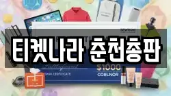 티켓나라 춘천총판