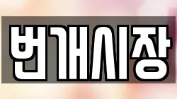 번개시장
