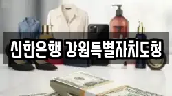 신한은행 강원특별자치도청