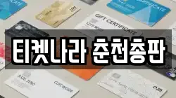 티켓나라 춘천총판
