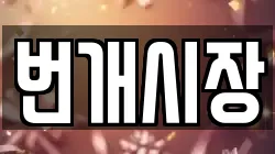 번개시장