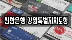 신한은행 강원특별자치도청