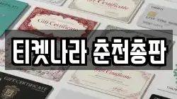 티켓나라 춘천총판