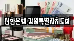 신한은행 강원특별자치도청