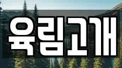 육림고개