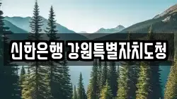 신한은행 강원특별자치도청