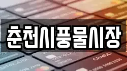 춘천시풍물시장