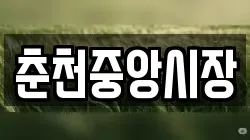 춘천중앙시장